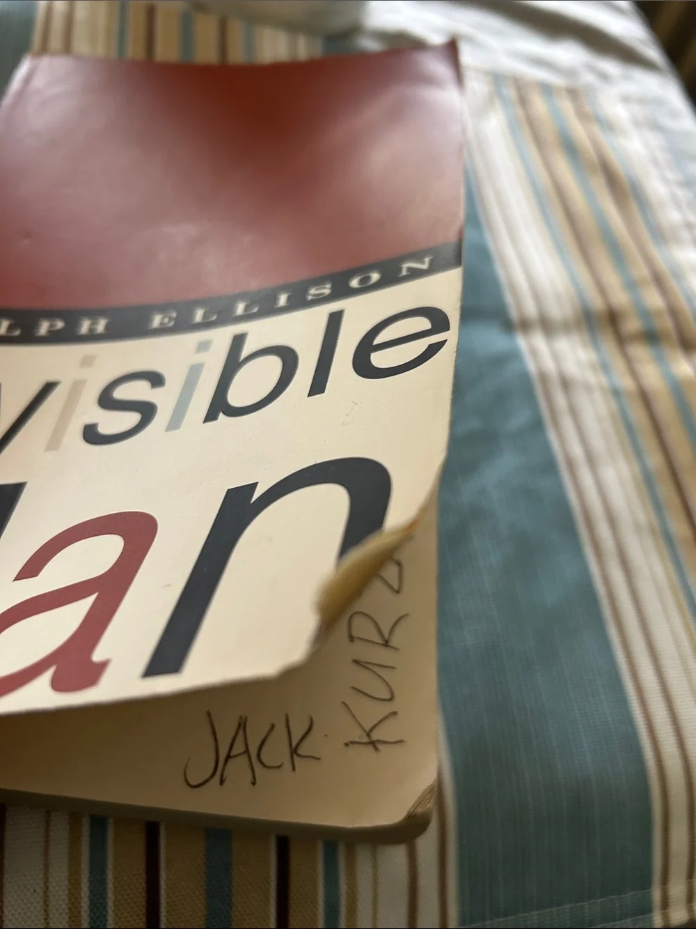 Ralph Ellison Invisible Man - Rust & White Cover